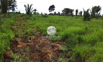 Imagem 2: Vale do Anari - Sítio - 15 Alqueires