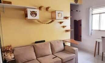 Imagem 2: SãO CAETANO DO SUL - Cobertura - Nova Gerty