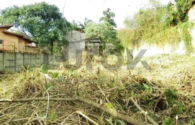 Imagem 7: Terreno - Jardim Guedala - São Paulo