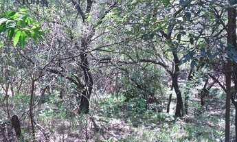 Imagem 6: Terreno à venda de 1050 m² no Rio Abaixo em Atibaia/SP - TE1165