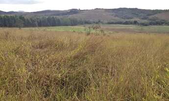 Imagem 2: Terreno 10 Hectares em Passa Tempo Fartura de Agua