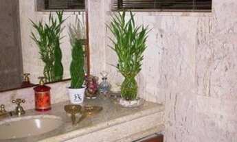 Imagem 6: Apartamento com 332 metros quadrados no bairro Gonzaga com 4 quartos