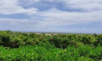 Imagem 6: Terreno à venda, 450 m² por R$ 375.000,00 - Imbassai - Mata de São João/BA