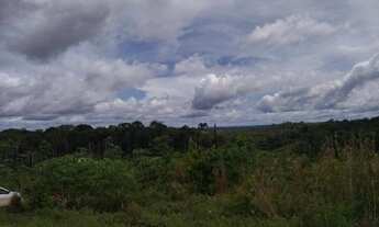 Imagem 5: Fazenda com 3000 hectares em Presidente Figueiredo/AM, a 185 km de Manaus. A 14 km da BR