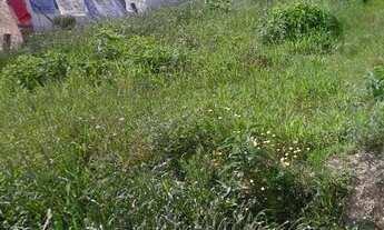 Imagem 5: Terreno à venda, 600 m² por R$ 89.000,00 - Marcilio Dias - Canoinhas/SC