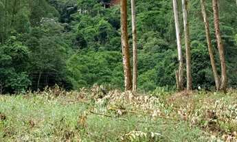 Imagem 3: Lote/Terreno para venda possui 500 metros quadrados em Santa Isabel - Domingos Martins - E