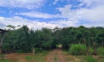 Imagem 6: Sítio de 20 mil m2 em Piracaia