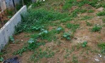 Imagem 3: Terreno no parque São Rafael documentado tudo ok