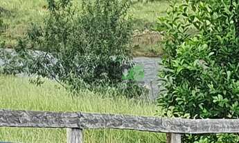 Imagem 6: Fazenda Dupla Aptidão - em CANA ARRENDADA, 154 Alqueires, à venda por R$ 25.020.000,00 - n