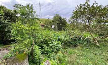 Imagem 4: Fazenda para venda com 1.206.720 M2 - 49 Alqueires - Ideal para criação de gado, há bastan