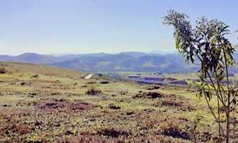 Imagem 2: URBANOVA: Lote à venda no Terras Alpha 330M2 - vista permanente em excelente topografia!