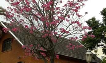 Imagem 3: Chácara para venda com 180 metros quadrados com 2 quartos em parque suiço - Valinhos - SP