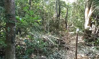 Imagem 7: Chácara 6.700 m2 Córrego Muita Mata Próximo Salto Corumbá de Goiás