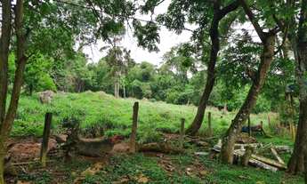 Imagem 5: Sítio de 20 mil m2 em Piracaia