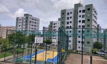 Imagem 4: Lindo apartamento no ? de Paulista-PE