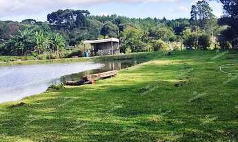 Imagem 4: Excelente Chácara