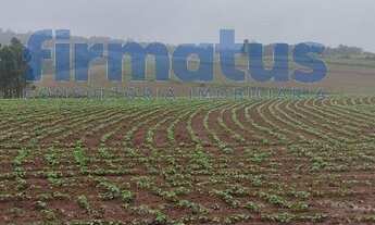 Imagem 3: Itatinga - Sítio - Zn Rural