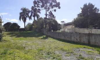 Imagem 2: TERRENO - CENTRO - AO LADO DA PREFEITURA