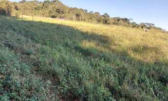 Imagem 2: PROMOÇÃO TERRENO DE 4.000MTS