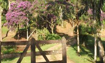 Imagem: Sítio com Renda garantida em Guaviruva