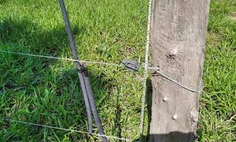 Imagem 3: Fazenda no município de recursolandia