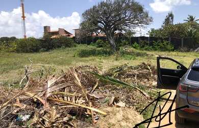 Imagem 4: 2 lotes - 450m2 cada - 900m2 no total ou 30x30 - sombra - cercado