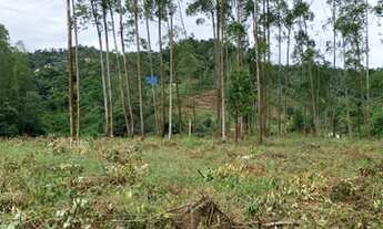 Imagem 6: Lote/Terreno para venda possui 500 metros quadrados em Santa Isabel - Domingos Martins - E