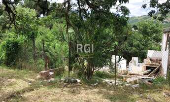 Imagem 5: Porto Alegre - Terreno Padrão - Teresópolis