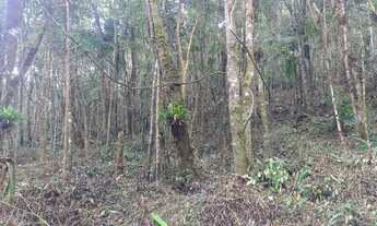 Imagem 6: 20 mil mts quadrados com riacho 57 mil reais