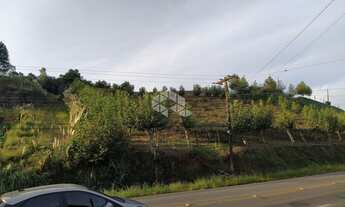 Imagem 2: GARIBALDI - Chácara - Vale Dos Vinhedos