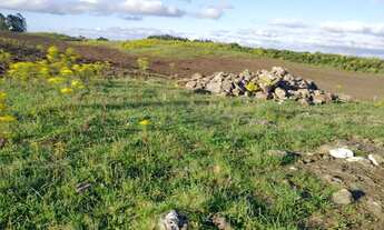 Imagem 6: Sitio com 150.000 m2, ótima localização