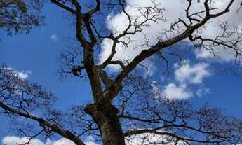 Imagem 4: SETE LAGOAS - Fazenda - Centro