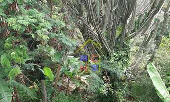 Imagem 5: Chácara com 4 dormitórios à venda, 2820 m² por R$ 750.000 - Parque Valinhos - Valinhos/SP