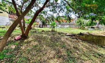 Imagem 7: SãO PAULO - Terreno Padrão - Vila Sônia