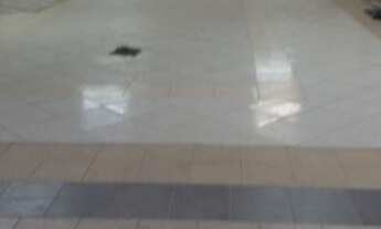 Imagem 2: Loja Comercial Galpão / depósito com aluguel por R$5.500 /mês