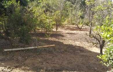 Imagem 3: Sítio nazareno e São Tiago