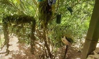 Imagem 6: Vende-se casa em Alto alegre/RR