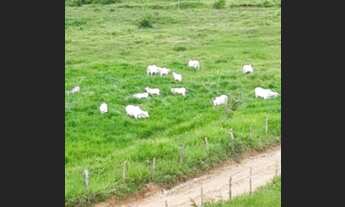 Imagem: Fazenda com 318 ta 961.950 m2 Santa Luzia