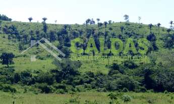 Imagem 5: Fazenda de 72 em pecuária a venda na região de Caldas Novas, Goiás