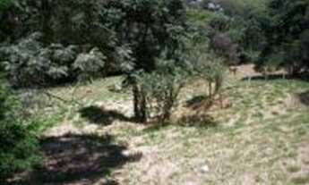 Imagem 4: 072-A = TERRENO/CONDOMÍNIO CAPELA DO BARREIRO