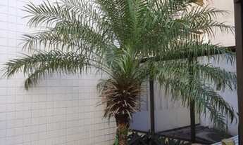 Imagem 3: Apartamento de 2 quartos sendo 1 suíte e 1 vaga na região da Praia do Canto