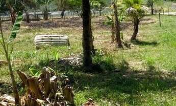 Imagem 7: COD-714 SÍTIO ESTRADA DO TINGUI