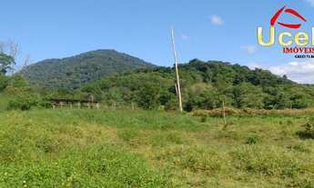 Imagem: V836- Excelente Sítio para venda em Sete