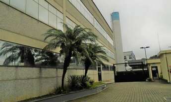 Imagem 2: Comércio Jardim Gilda Maria Sao Paulo/SP