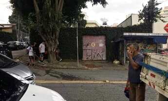 Imagem 3: São Paulo - Terreno Padrão - Vila Romero