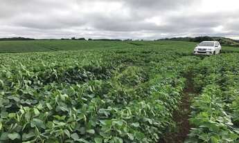 Imagem 4: Fazenda à venda, 2420000 m² por R$ 18.000.000,00 - Centro - Pitanga/PR