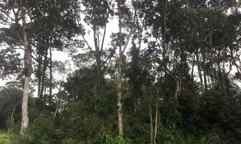 Imagem 3: Terreno parcelado à venda, entrada por R$ 7.000 mais parcelas- Brandalize - Itapoá/SC