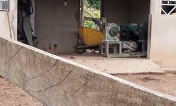 Imagem 4: Oportunidade! Excelente de fazenda 12 Alqueires