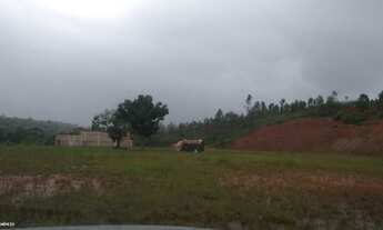 Imagem 5: Área para Venda em Moreno, Km. 22.5, 1 dormitório, 1 banheiro, 10 vagas