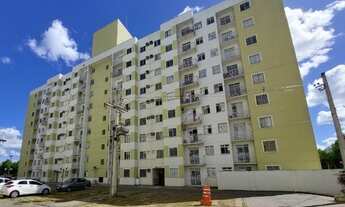 Imagem: Apartamento no Edifício Cecília Nitz (Honório